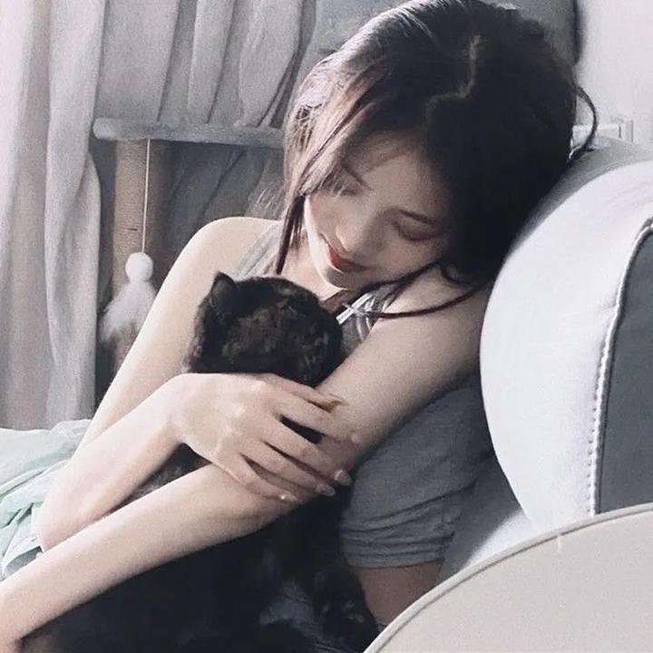 爱狗男人请来电